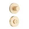 brass turn knob with indicator on round rose for bathroom and furniture doors