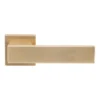 lever handle on square rose with escutcheon for doors, suitable for home doors, office doors, interior doors, premium stainless steel hardware