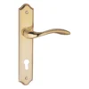 lever handle on shouldered backplate for interior and main doors