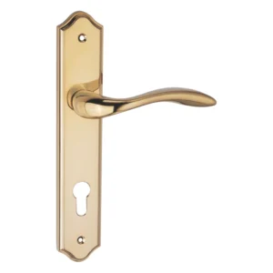 lever handle on shouldered backplate for interior and main doors