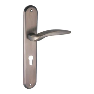 lever handle on round rose with escutcheons for interior and main doors