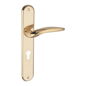 lever handle on round rose with escutcheons for interior and main doors