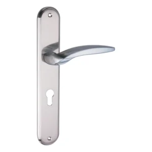 lever handle on round rose with escutcheons for interior and main doors