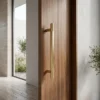 Brass Door Pull Handle