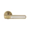 Brass Lever Handle on Round Rose with Escutcheons