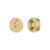 Thumbturn and Release With Indicator