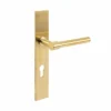 Lever Handle on Sqaure Backplate