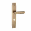 Brass Matt Antique Brass Lever Handle on Square Backplate