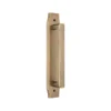 pull handle on plate