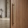 Back-to-Back Door Pull Handle